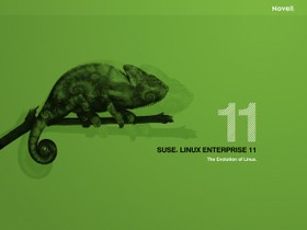 SUSE Linux Enterprise Server 11